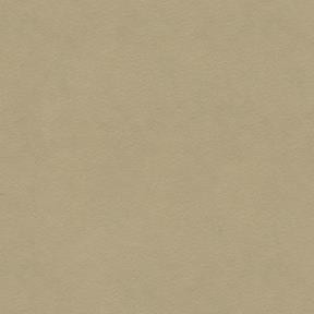 Kravet 30787 106