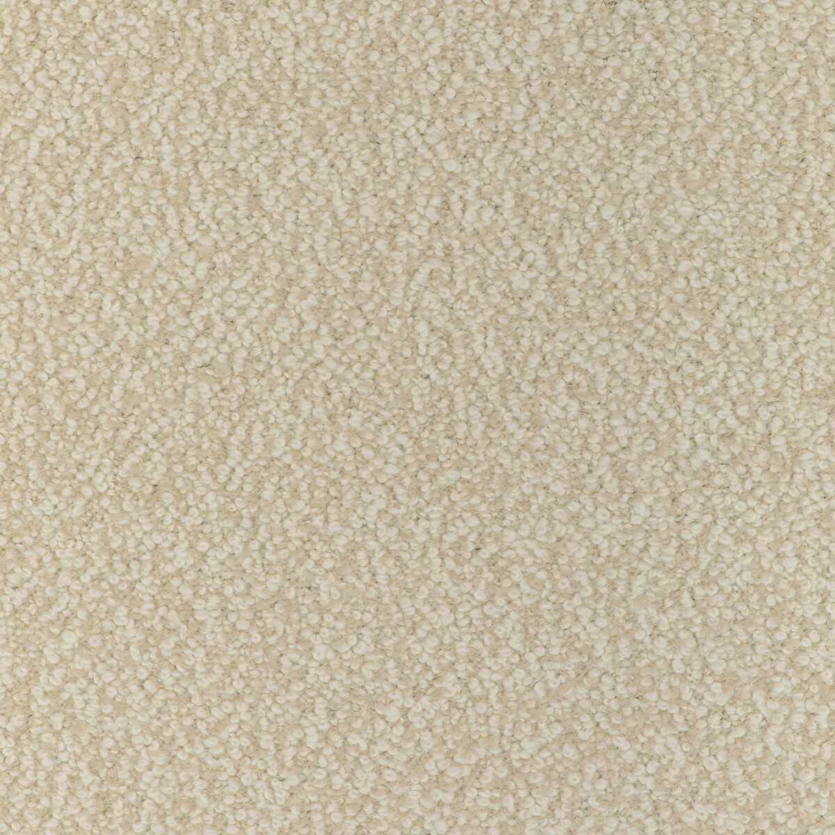Alpaca Boucle 36898-116