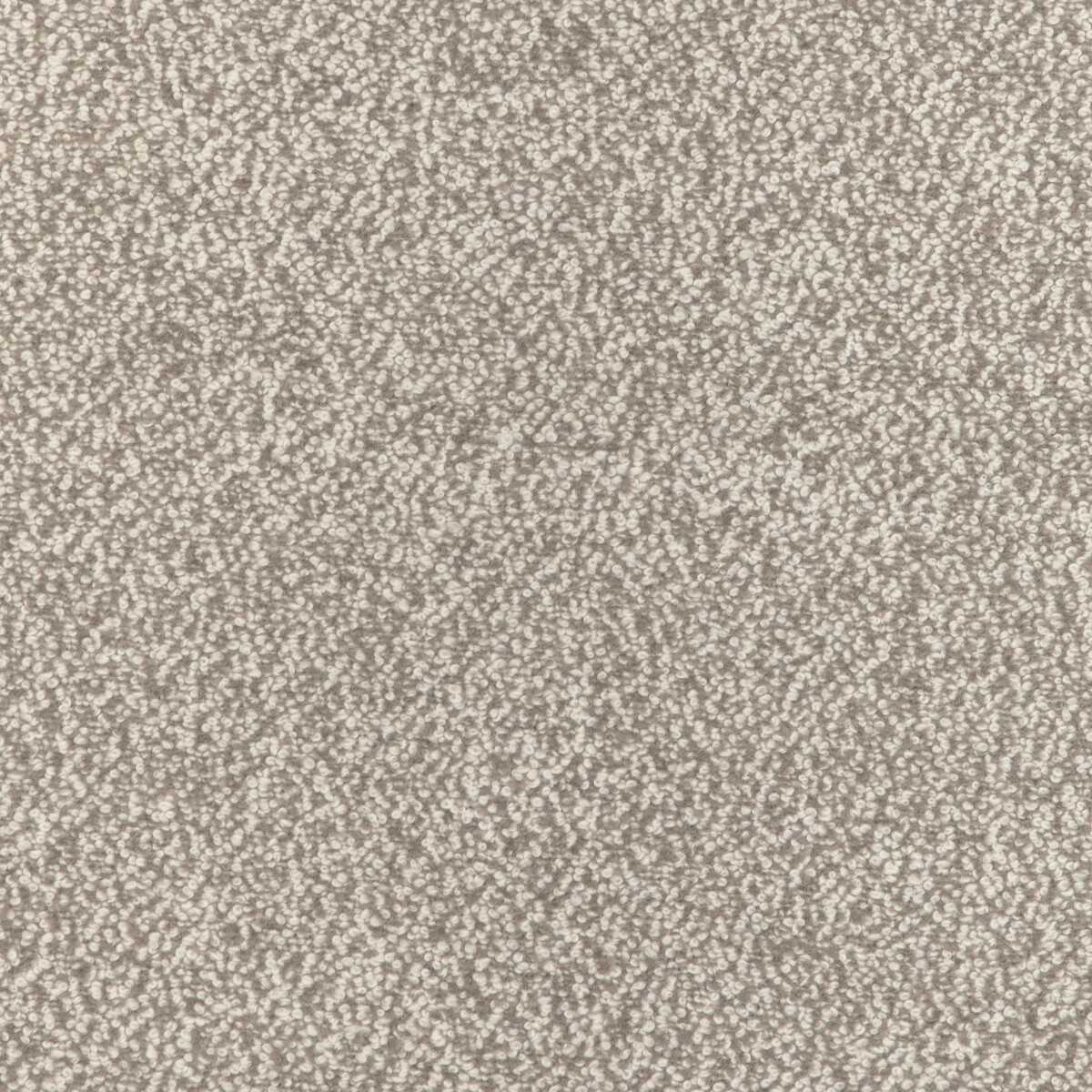 Alpaca Boucle 36898-6
