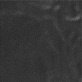 Kravet DELANEY 8