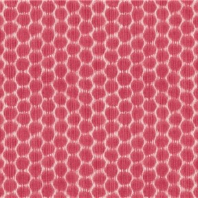 Kravet DOTKAT 19