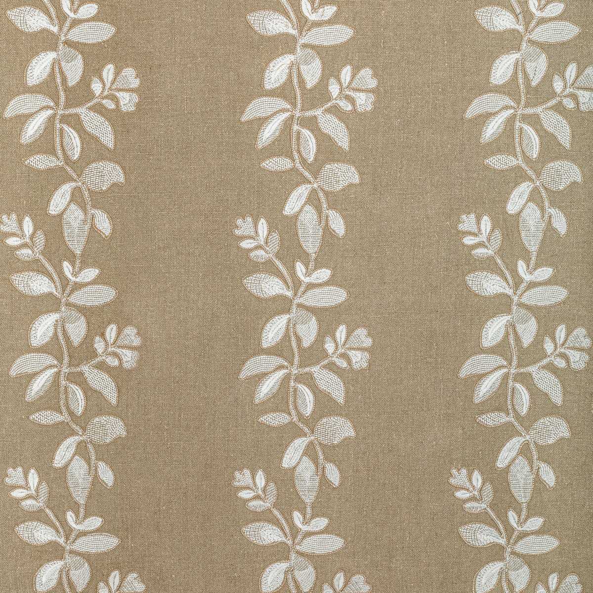 Gingerflower 36380-1601