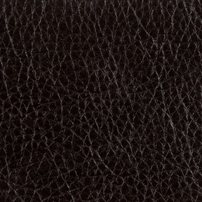 Kravet L-RUSHMORE ESPRESSO