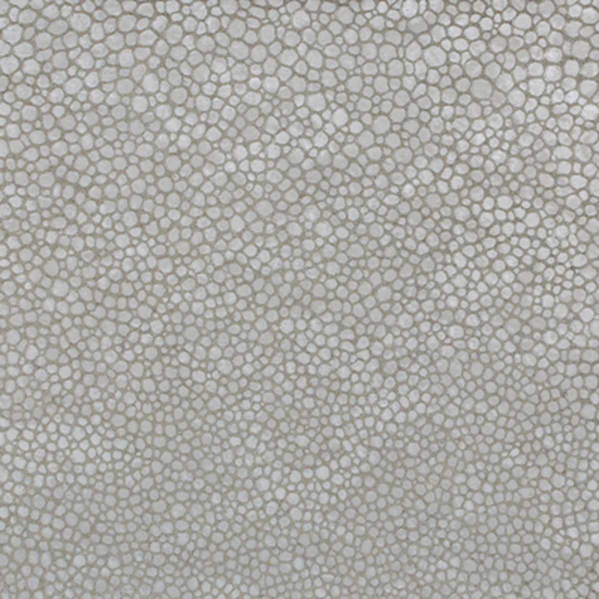 L-Sinar L-SINAR-SILVER