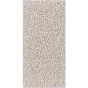 Kravet NUOSTRICH 1