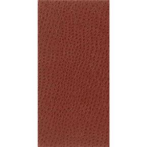 Kravet NUOSTRICH 24