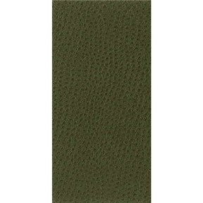 Kravet NUOSTRICH 30