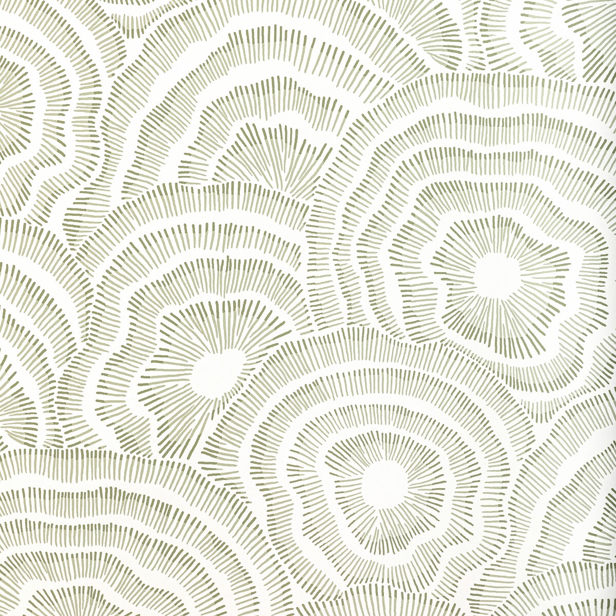 Panache Wp W3823-123
