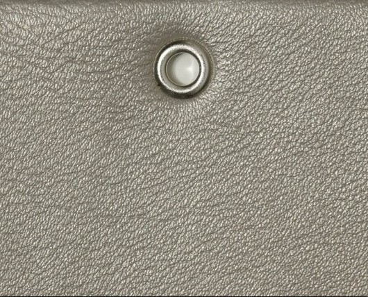 Kuri Bay Gold Dust KBY226