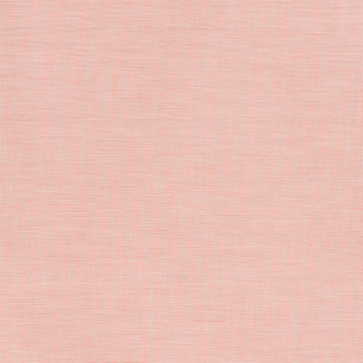 Accent 6839-0020