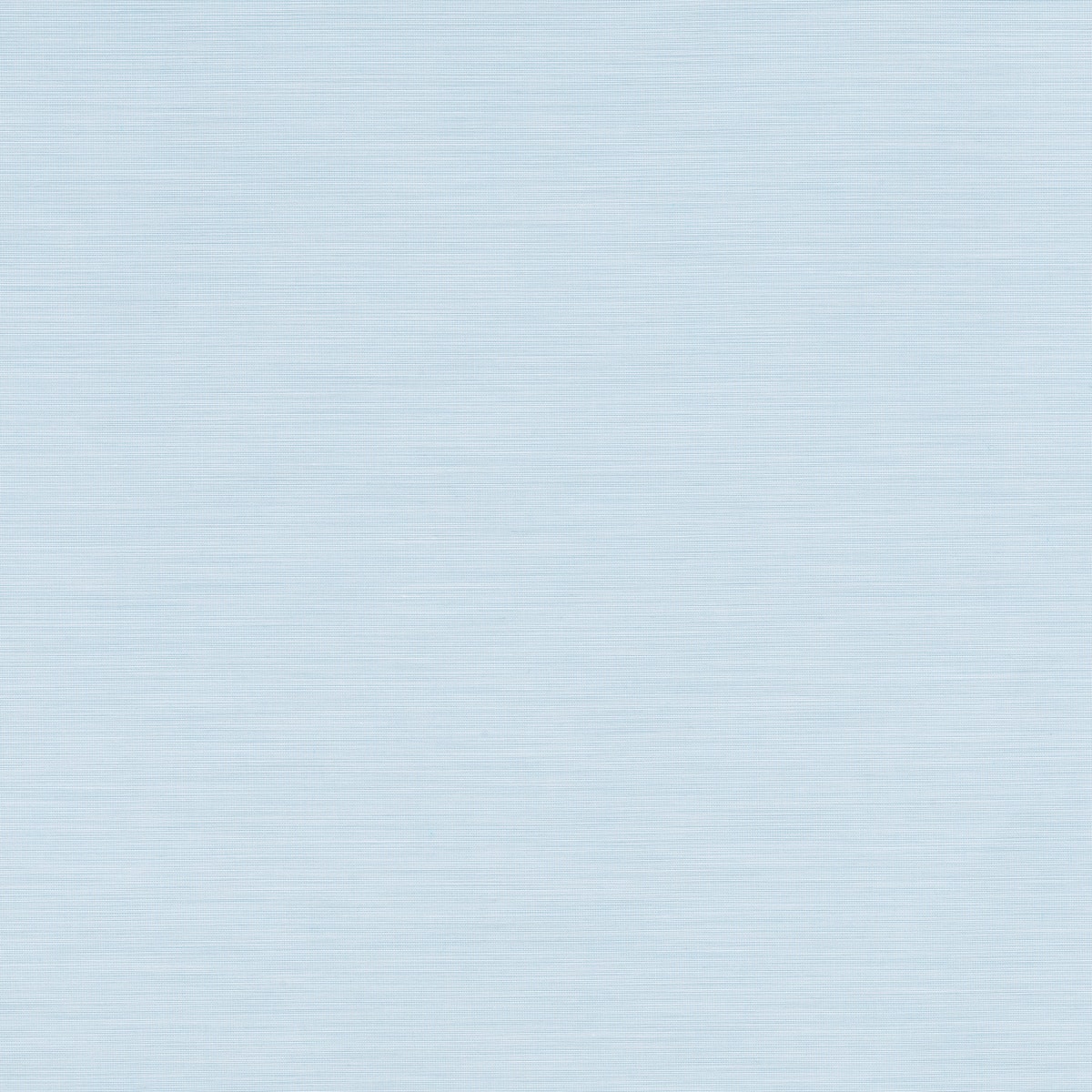 Accent 6839-0021