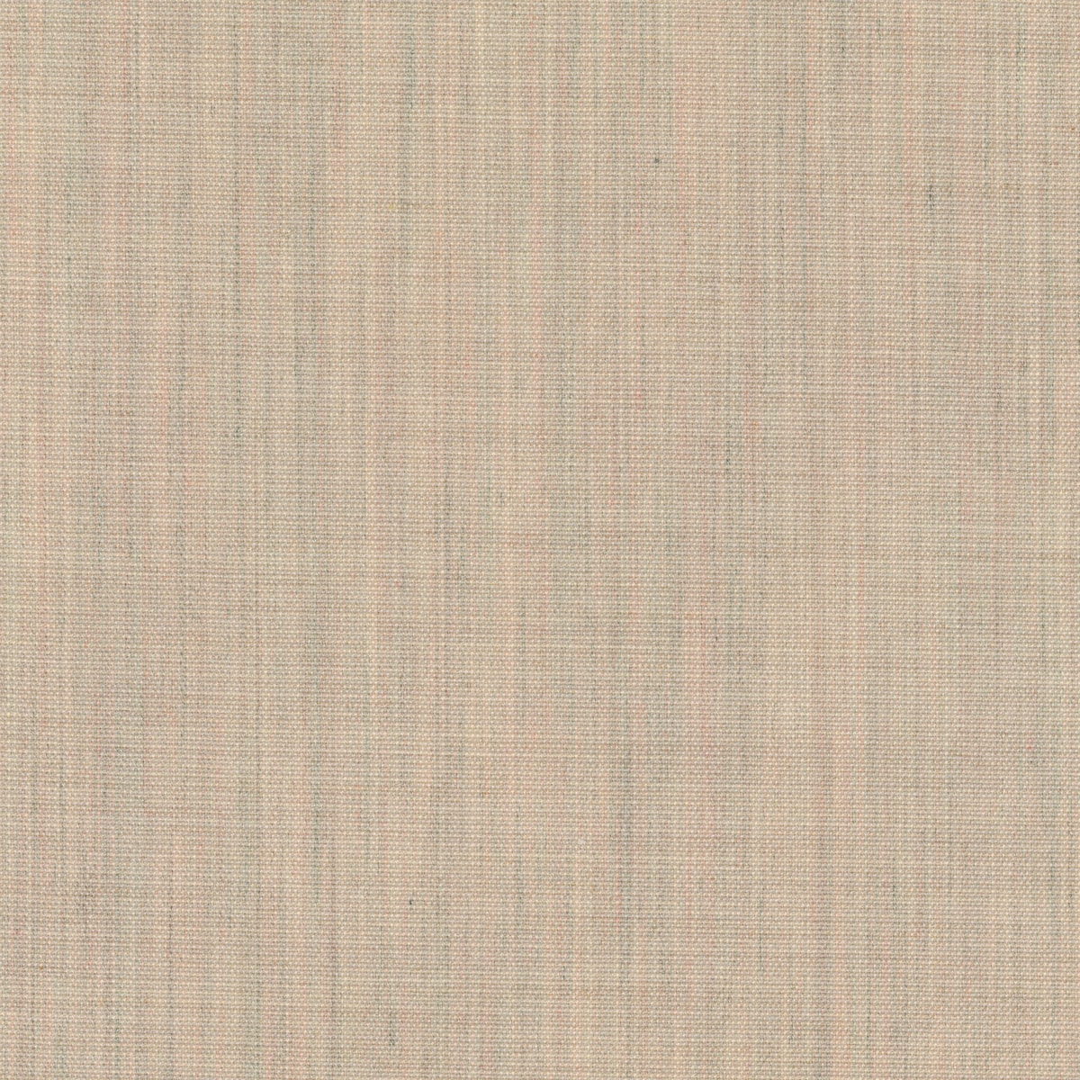 Canvas 2 1221-0216