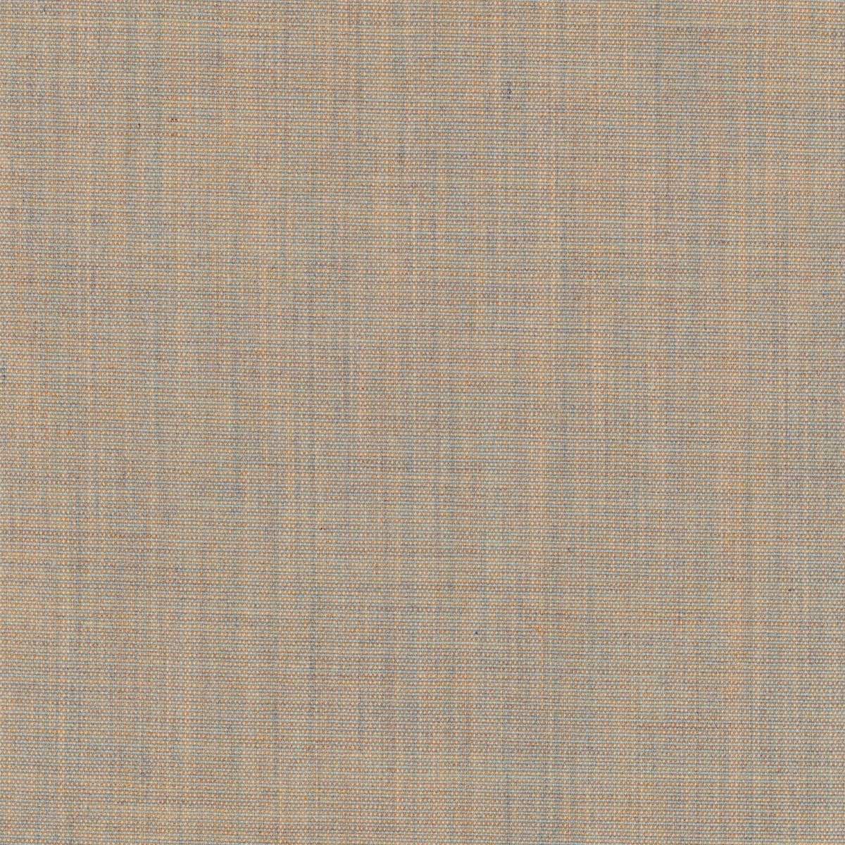 Canvas 2 1221-0224