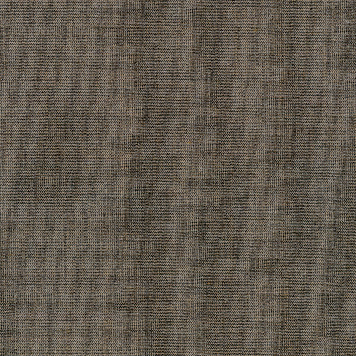 Canvas 2 1221-0264