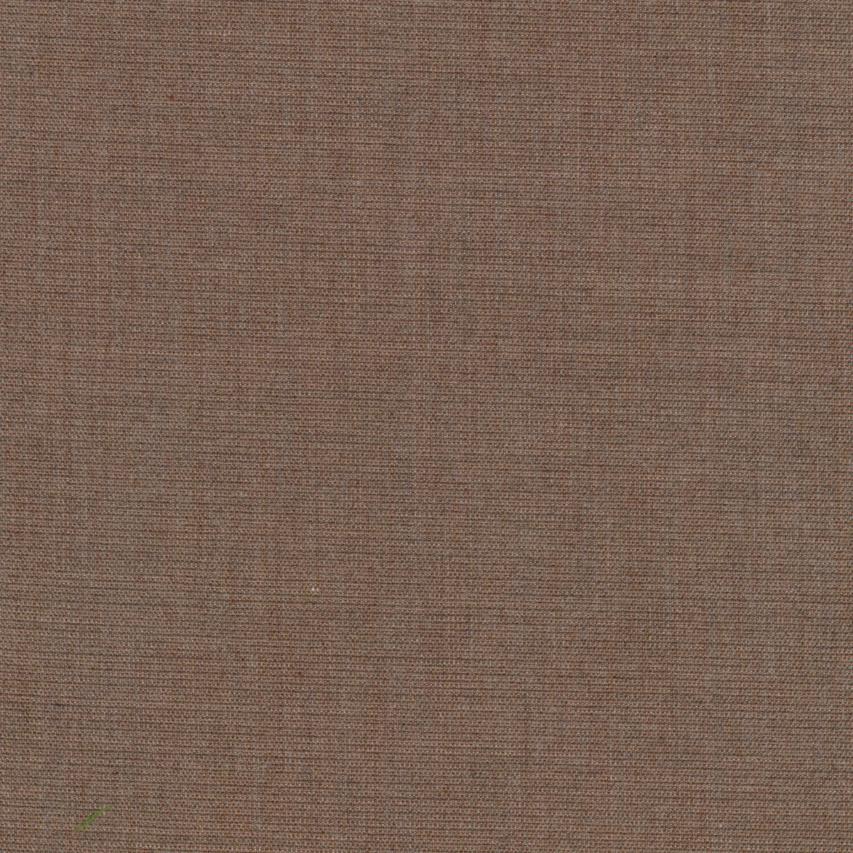 Canvas 2 1221-0356