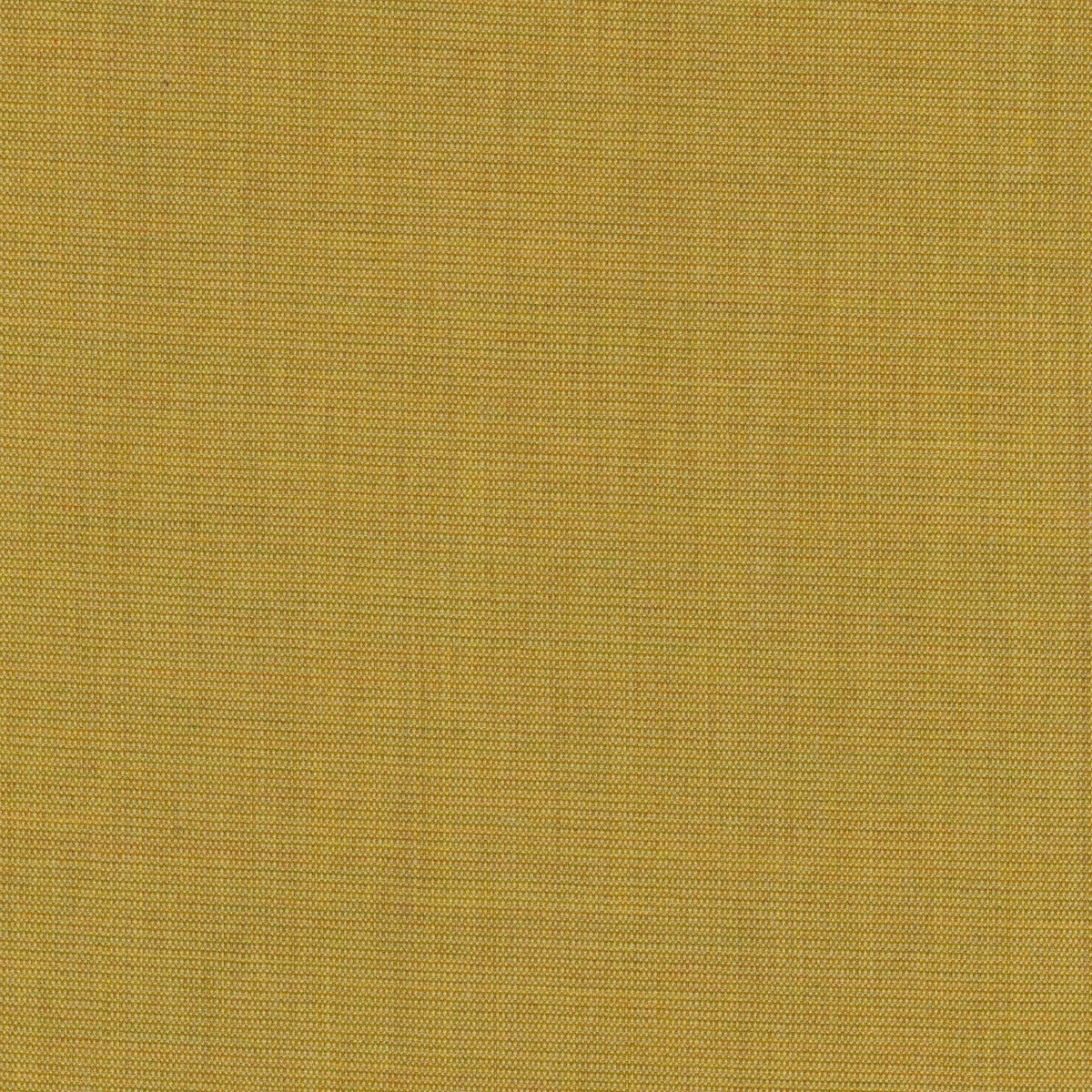 Canvas 2 1221-0446