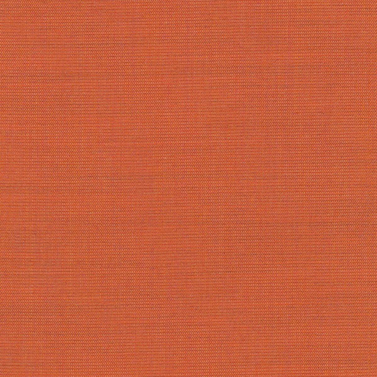 Canvas 2 1221-0546
