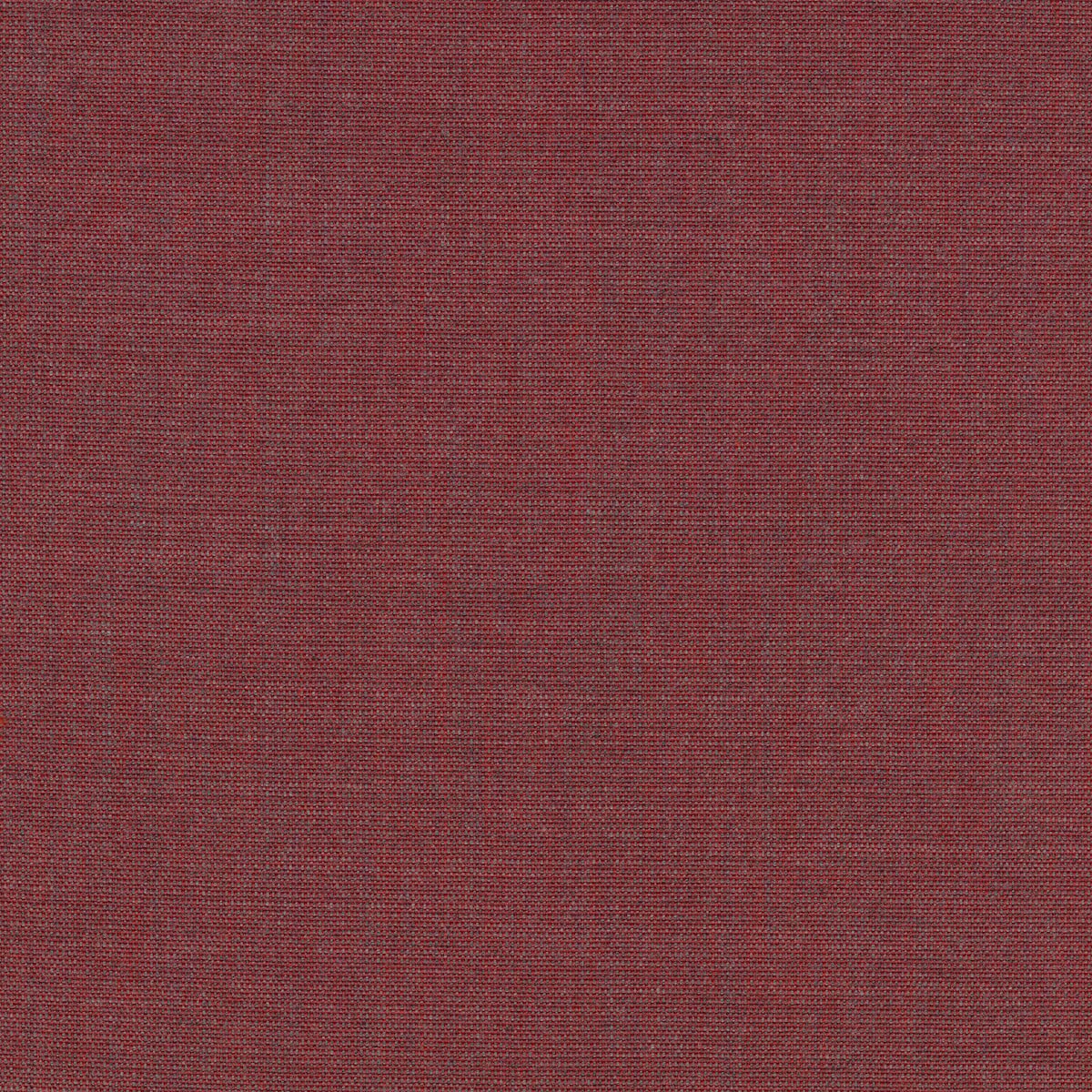 Canvas 2 1221-0654
