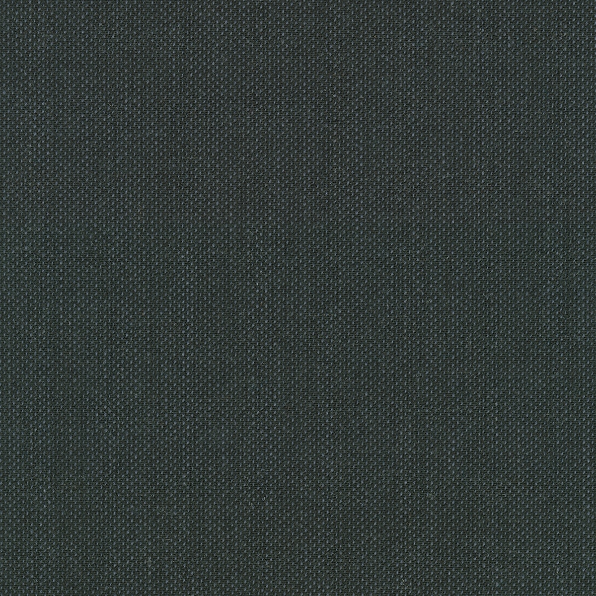 Clara 2 2967-0987
