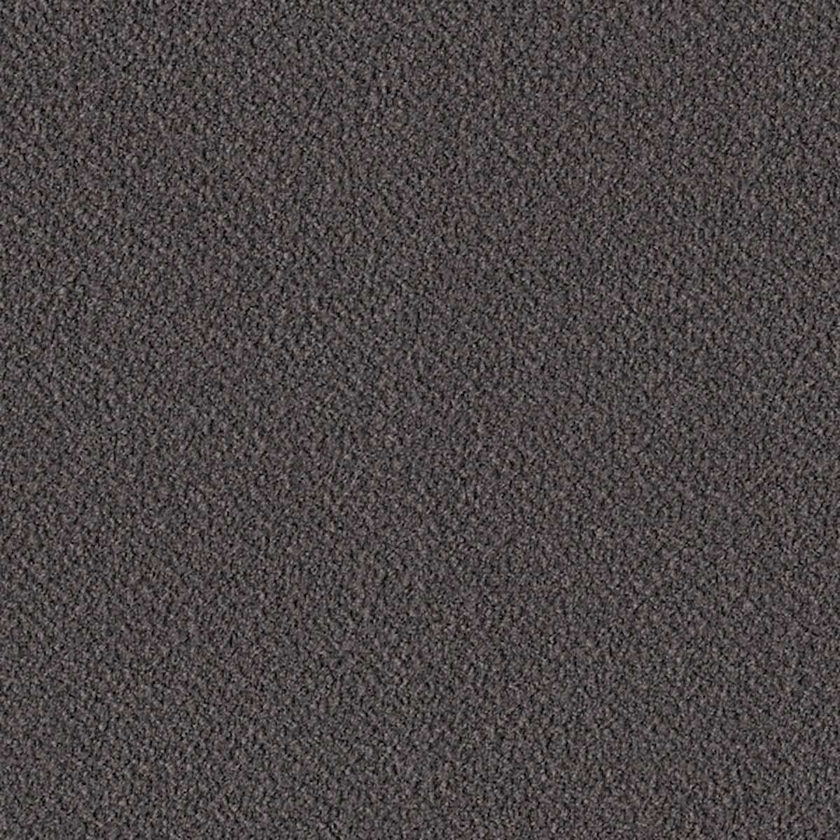 Saxion 1059-0177