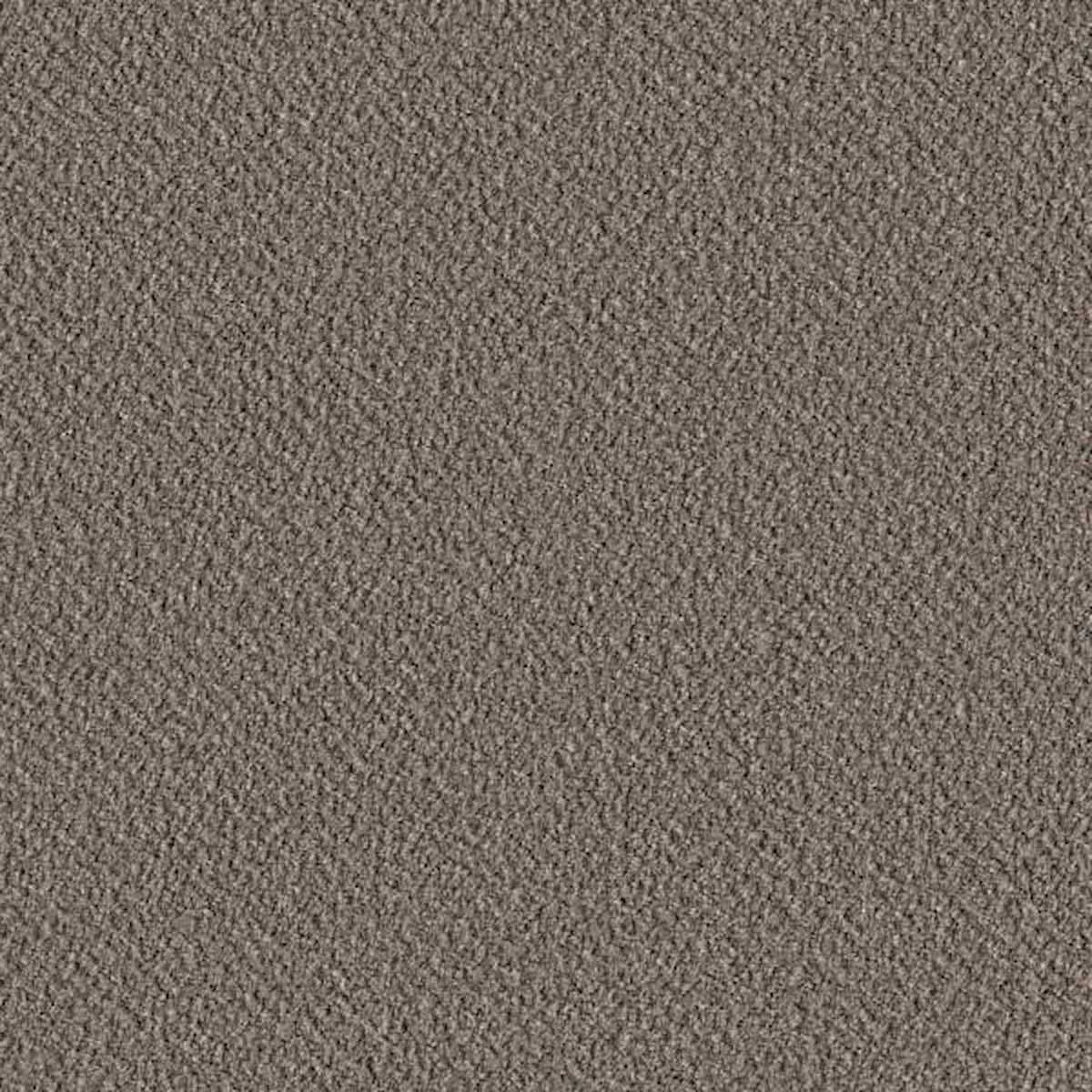 Saxion 1059-0367