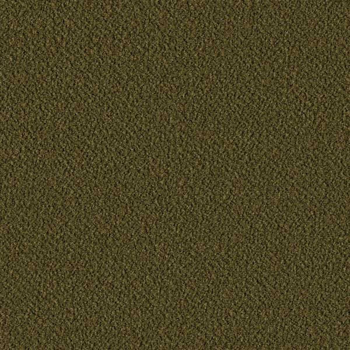 Saxion 1059-0987