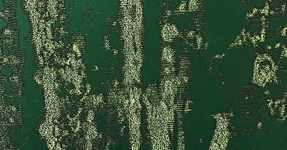 Lacebark LBK-05