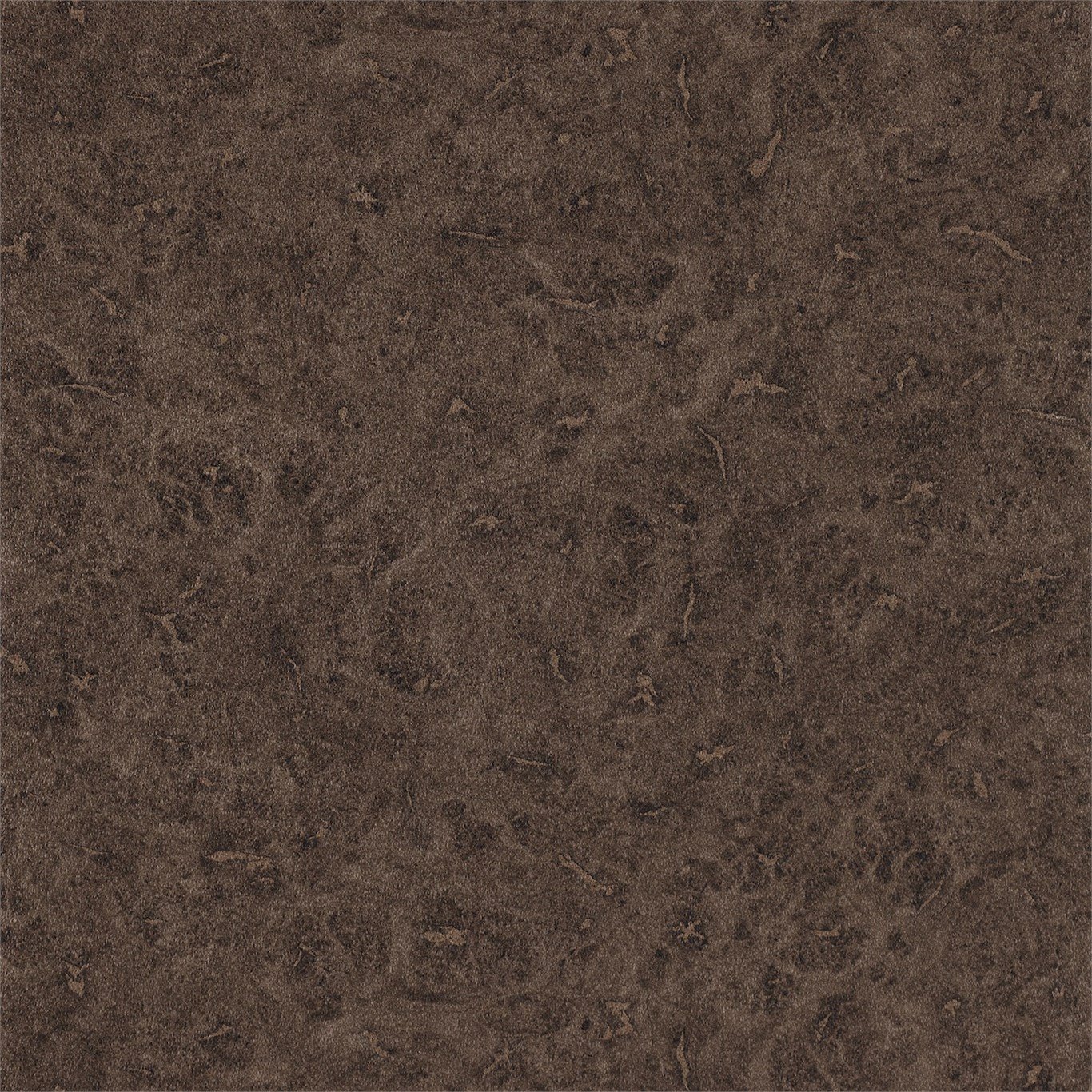 Lacquer EANT111133