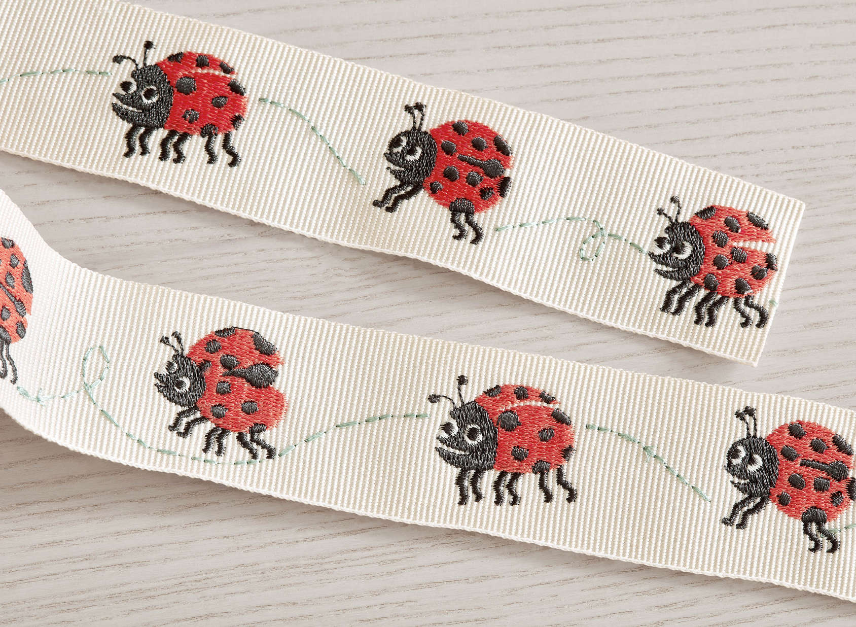 Ladybugs Braid T82-01