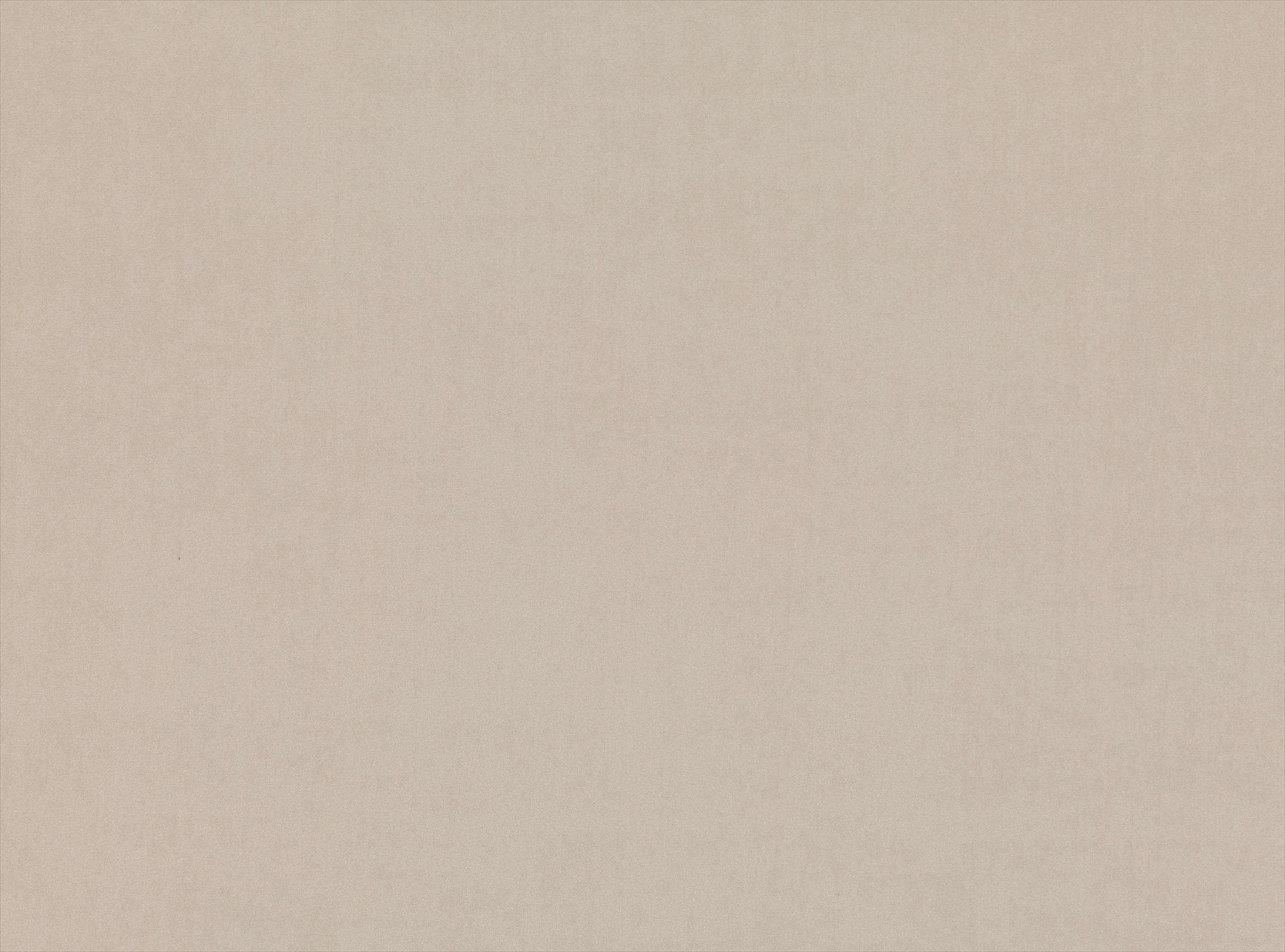 Latigo Plain Z567-01