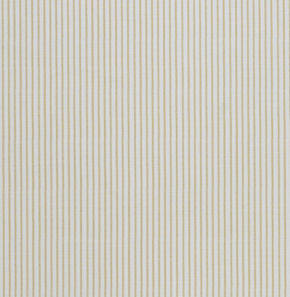Candy Stripe Dijon