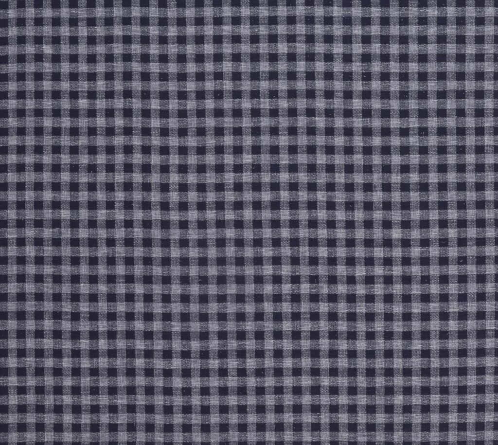 Gingham French Navy