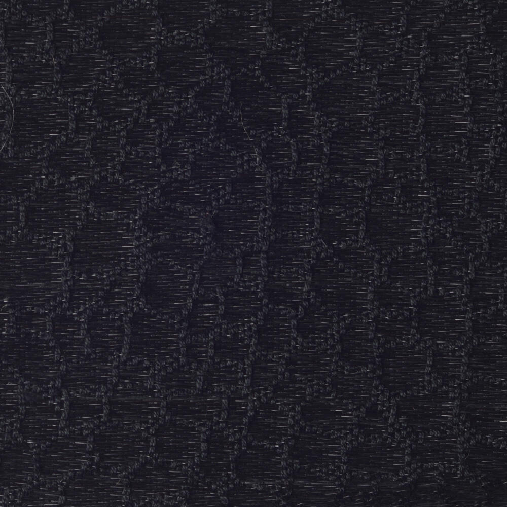 Snake C0418-004