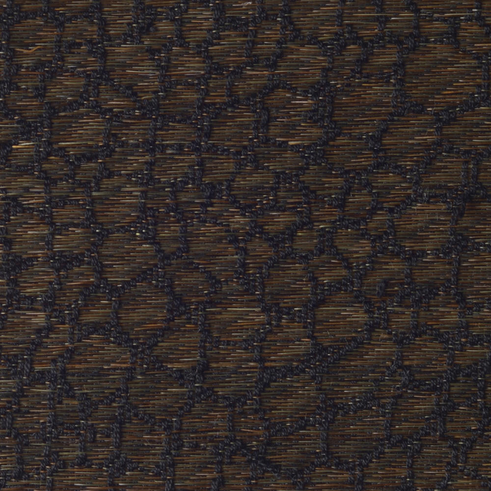 Snake C0418-006