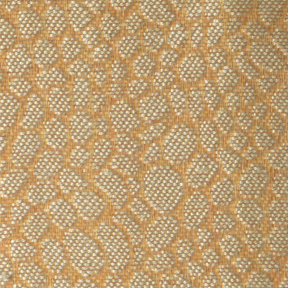 Snake C0418-008