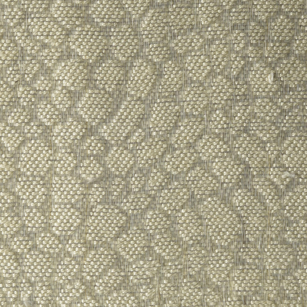 Snake C0418-009