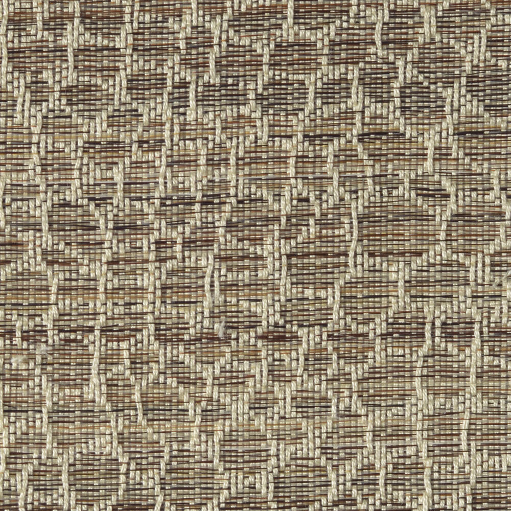Snake C0418-011