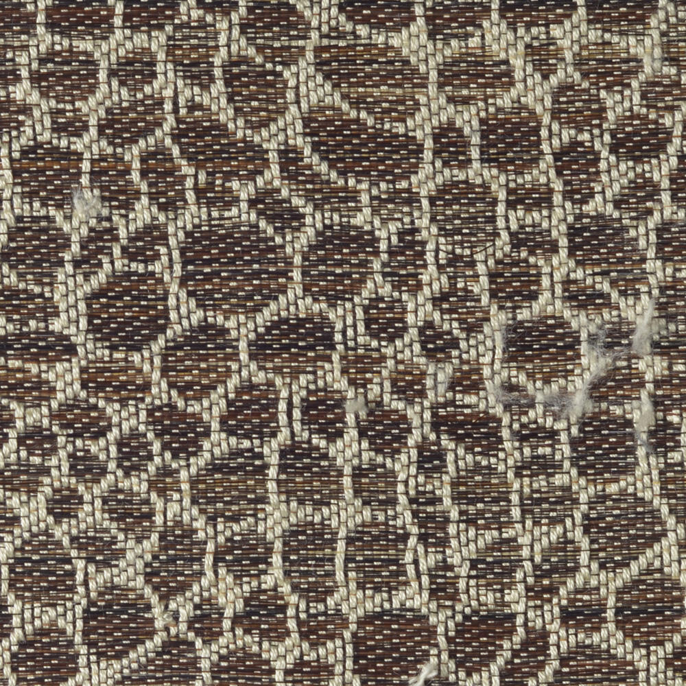 Snake C0418-012