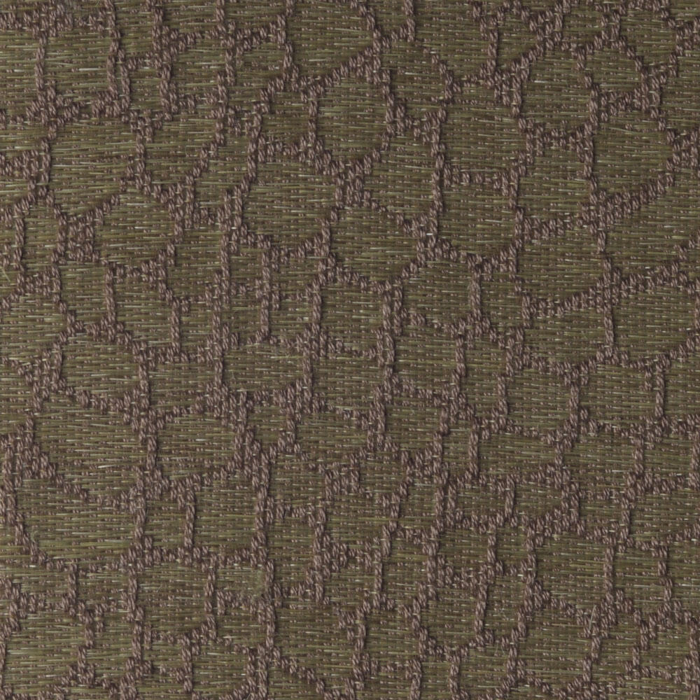 Snake C0418-016