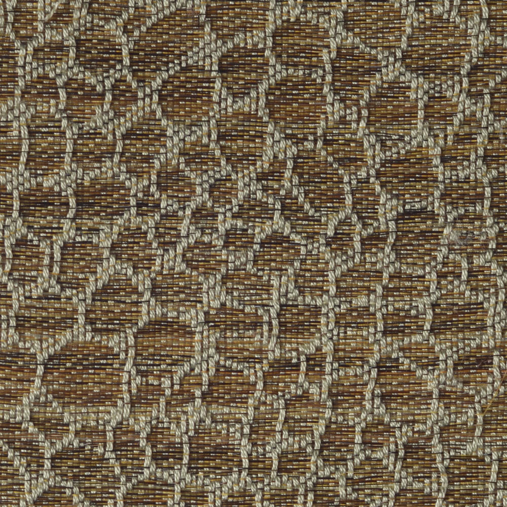 Snake C0418-017