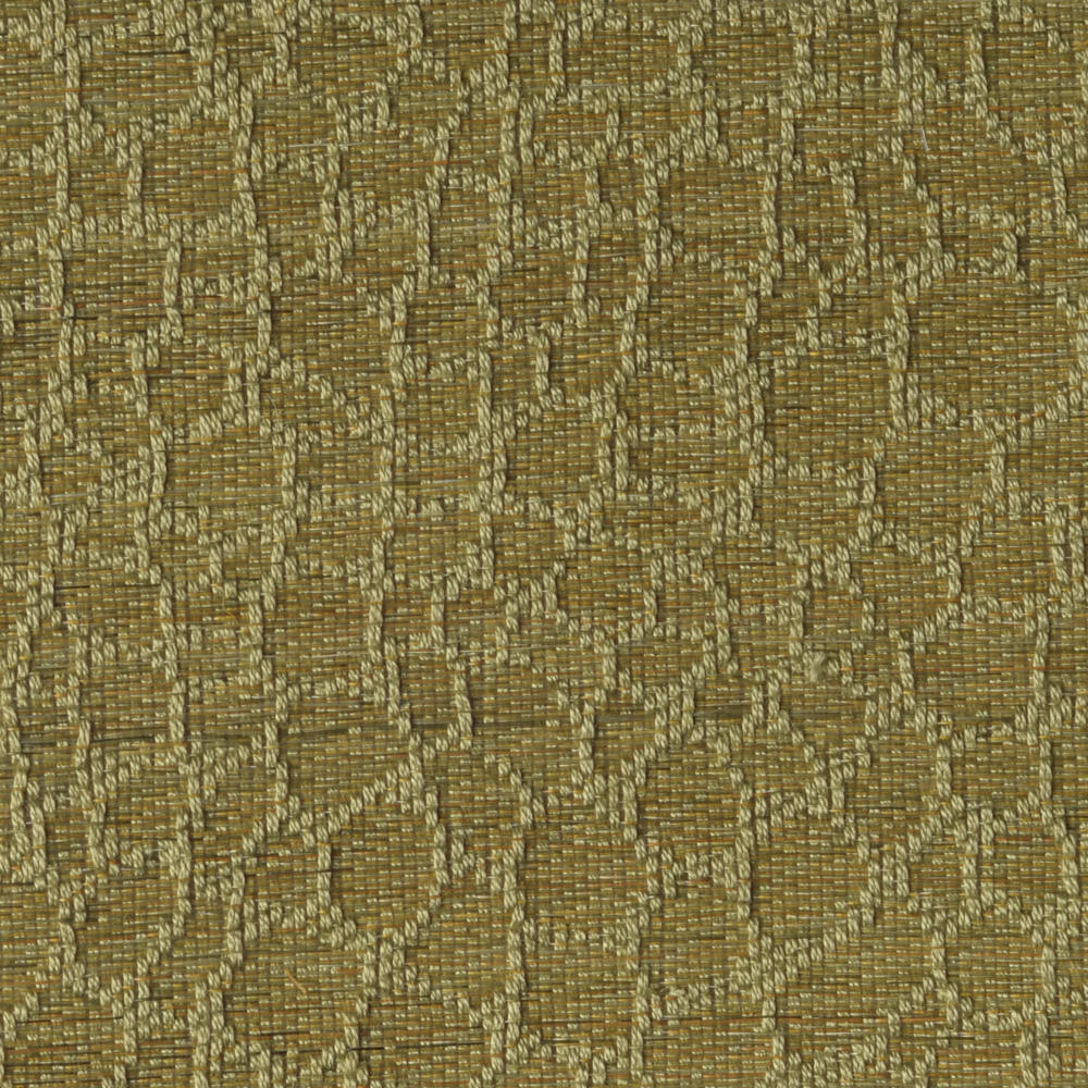 Snake C0418-019