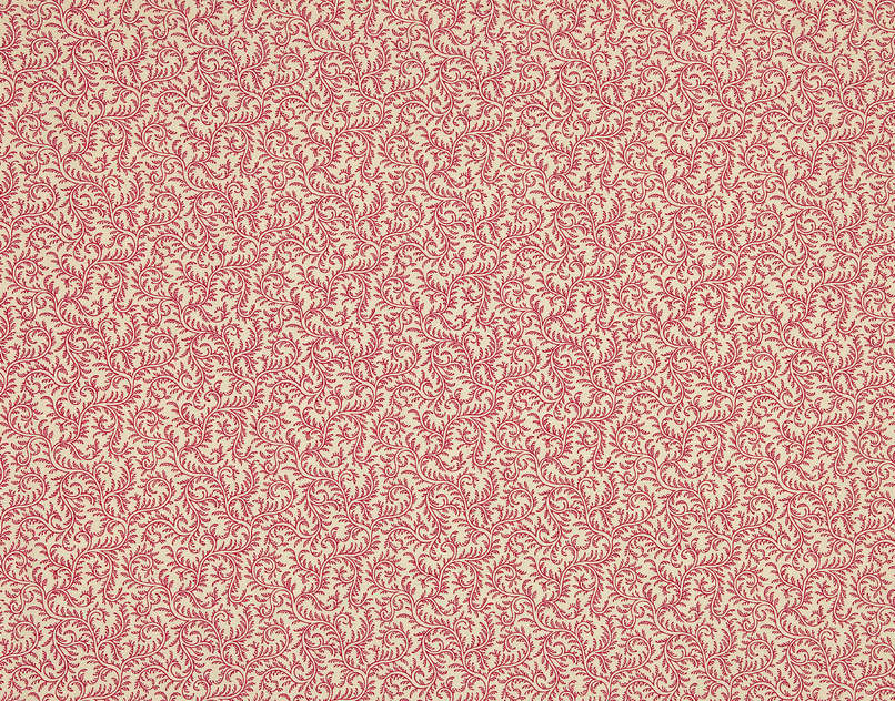 Le Grand Corail Vermicule B081C001