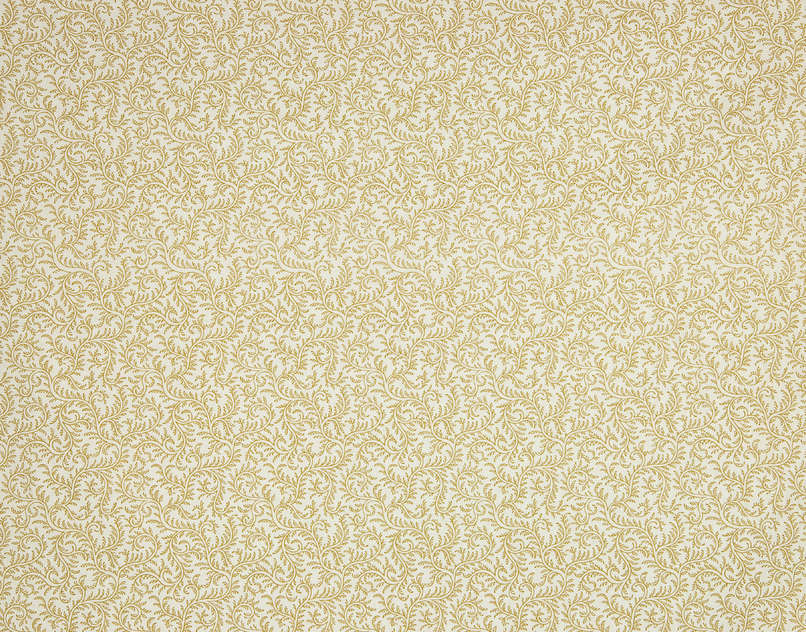 Le Grand Corail Vermicule B081C004