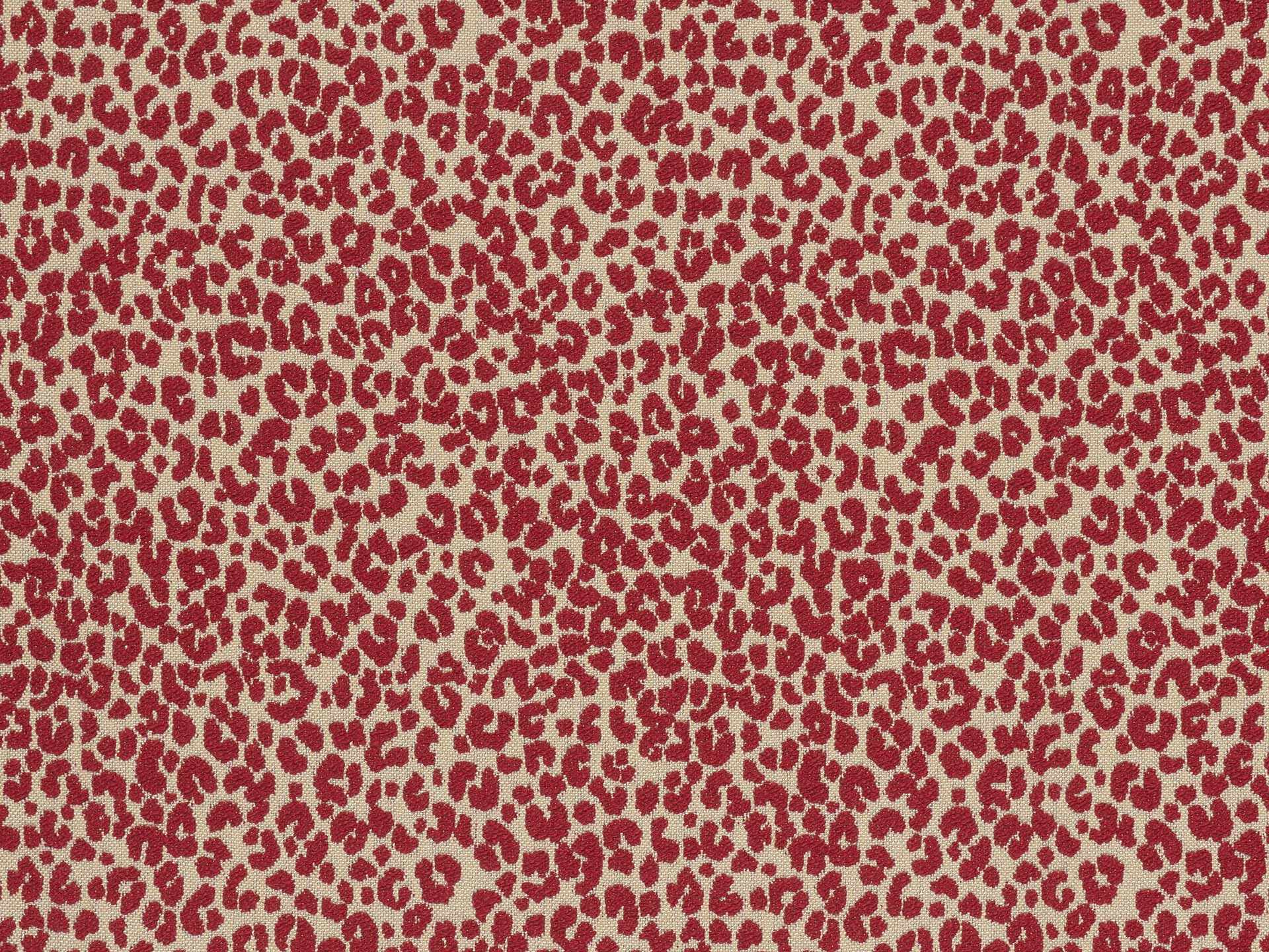 Mini Leopard L4516_MINI_LEOPARD_B90_FG