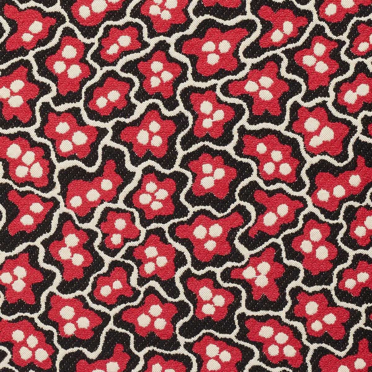 Nimpheas L5051_NYMPHEAS_B54_B02_FE