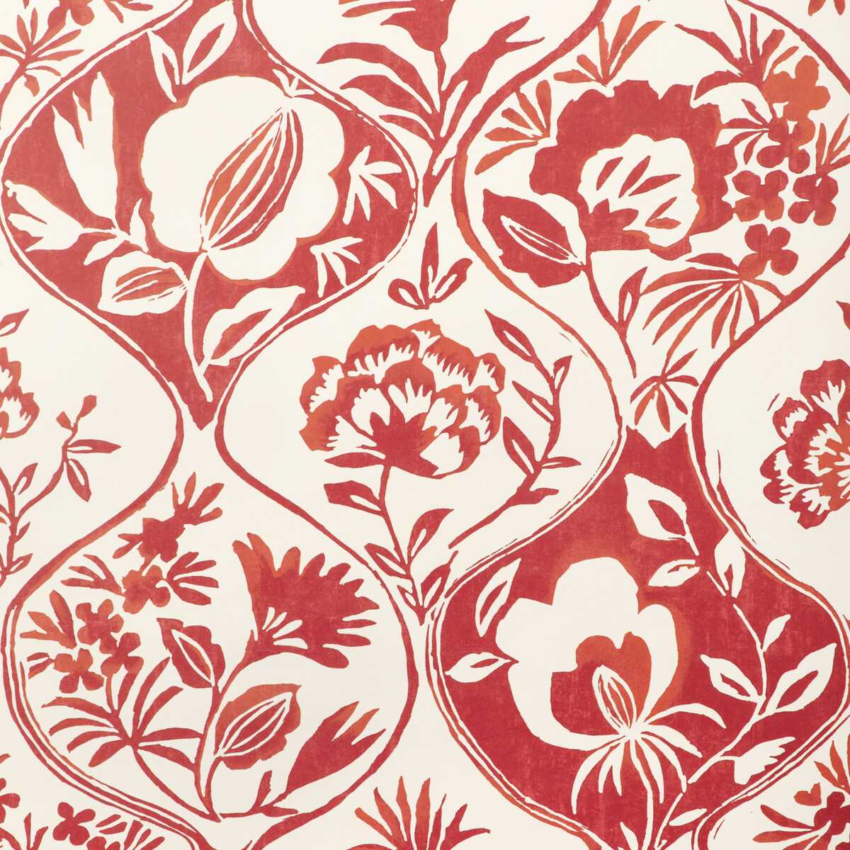 Calathea Paper P2023126-19