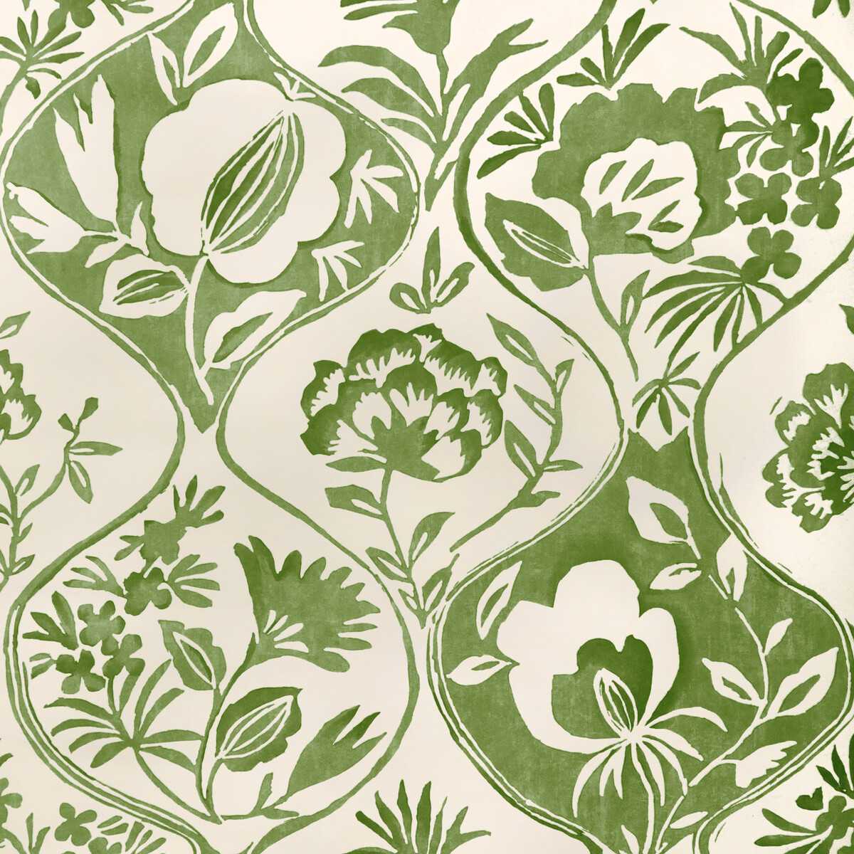 Calathea Paper P2023126-30