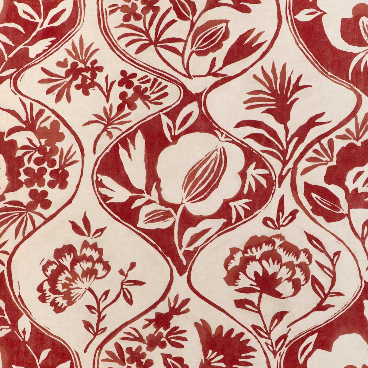 Calathea Print 2023141-19