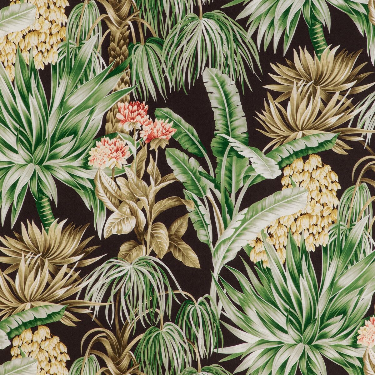 Caluya Print 2020196-6374