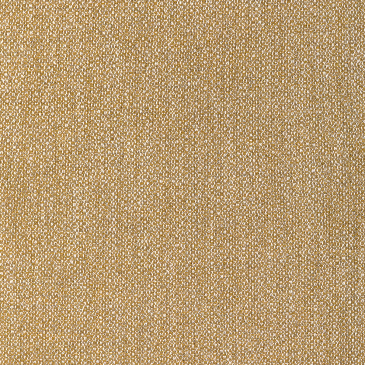 Torus GWF-3793-416